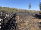 Požár lesa ve Sloupě (30)