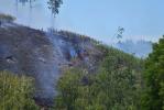 Požár lesa ve Sloupě (60)