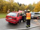 Dopravní nehoda u Holštejna (80)