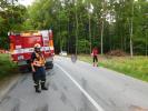 Dopravn nehoda u Bukovinky (44)