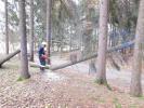 Odstran�n� spaden�ho stromu v Jedovnic�ch (138)